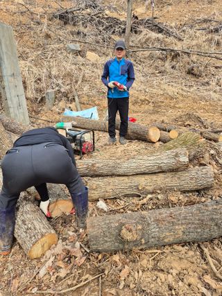 엉뚱님의 기타작물 · 영농일지 작성글 사진