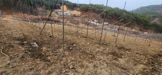 이철님의 기타작물 · 영농일지 작성글 사진