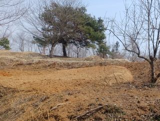 열남님의 기타작물 · 영농일지 작성글 사진