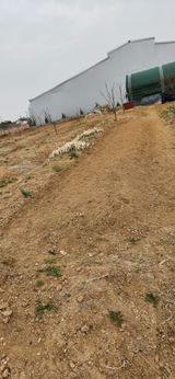 뭐하지!님의 작성글 사진