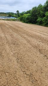 팜모닝 콩·영농일지 게시글 이미지