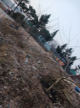 팜모닝 기타작물·영농일지 게시글 이미지