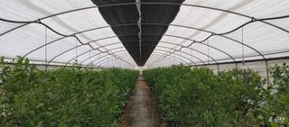 류근택님의 기타작물 · 영농일지 작성글 사진