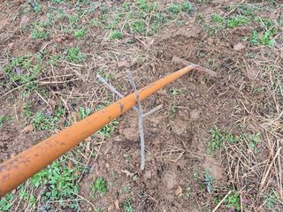 엉뚱님의 기타작물 · 영농일지 작성글 사진