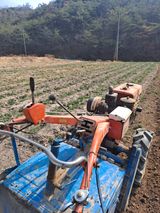 팜모닝 들깨·영농일지 게시글 이미지