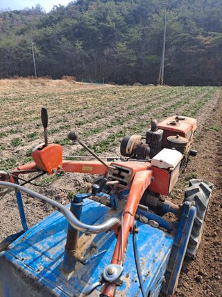 이한재님의 들깨 · 영농일지 작성글 사진