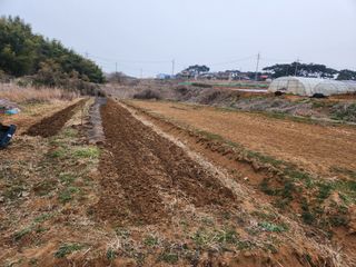 벙개도리님의 작성글 사진