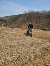 팜모닝 참깨·영농일지 게시글 이미지