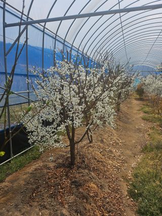 서정훈 님의 작성글 사진