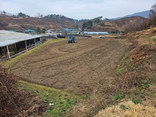 정우진님의 감 · 영농일지 작성글 사진