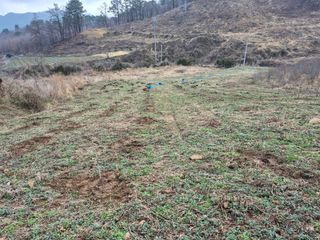 엉뚱님의 기타작물 · 영농일지 작성글 사진