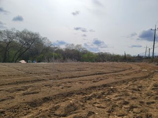 신승철님의 작성글 사진