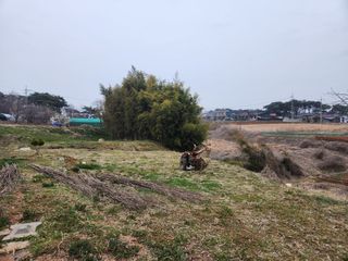 벙개도리님의 기타작물 · 영농일지 작성글 사진