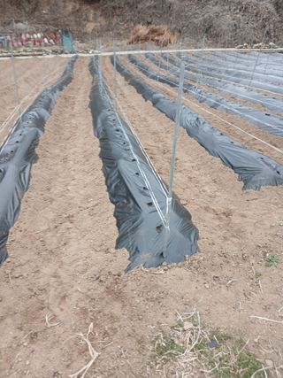 소율이네농장님의 기타작물 · 영농일지 작성글 사진