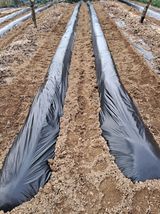 구강회님의 작성글 사진