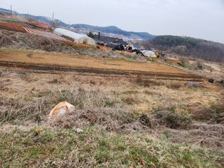 벙개도리님의 기타작물 · 영농일지 작성글 사진