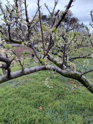 심무재 님의 기타작물 · 영농일지 작성글 사진