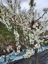 전진욱님의 작성글 사진