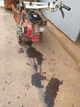 팜모닝 기타작물·영농일지 게시글 이미지