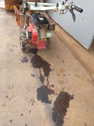 박웅님의 기타작물 · 영농일지 작성글 사진