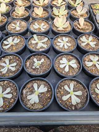 신상섭님의 기타작물 · 영농일지 작성글 사진