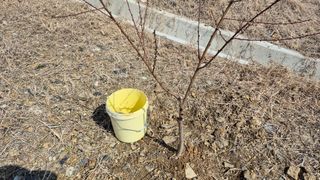 초보농부님의 기타작물 · 영농일지 작성글 사진