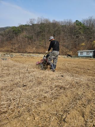 드라곤해드님의 참깨 · 영농일지 작성글 사진