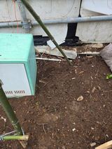 팜모닝 기타작물·영농일지 게시글 이미지