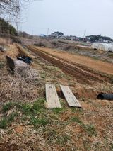 벙개도리님의 작성글 사진