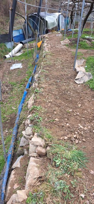 달맛햇복숭아농원님의 복숭아 · 영농일지 작성글 사진