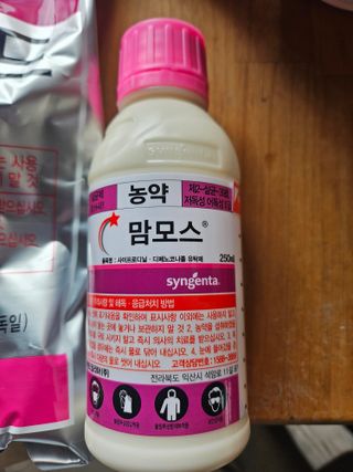 조영민님의 배 · 영농일지 작성글 사진