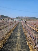 팜모닝 기타작물·영농일지 게시글 이미지