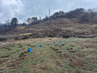 엉뚱님의 기타작물 · 영농일지 작성글 사진