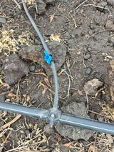 팜모닝 귤·영농일지 게시글 이미지