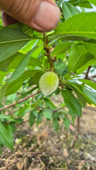 최근만님의 작성글 사진