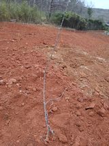 팜모닝 사과·영농일지 게시글 이미지