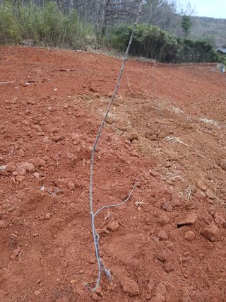 최영묵님의 사과 · 영농일지 작성글 사진