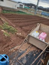 전진욱님의 작성글 사진