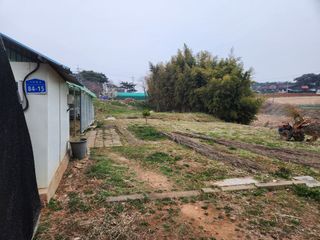 벙개도리님의 기타작물 · 영농일지 작성글 사진