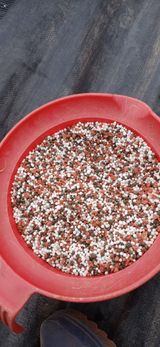 팜모닝 마늘·영농일지 게시글 이미지