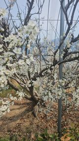 서정훈 님의 작성글 사진