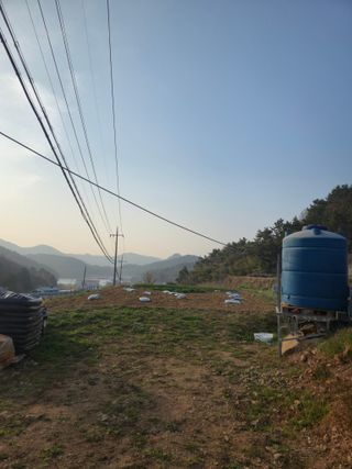 이영철님의 기타작물 · 영농일지 작성글 사진