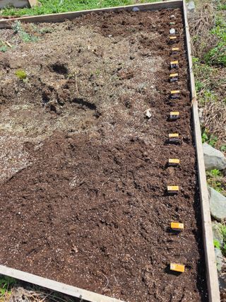 김성환님의 기타작물 · 영농일지 작성글 사진