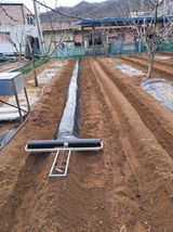 구강회님의 작성글 사진