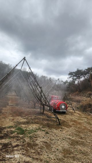 김준한님의 자두 · 영농일지 작성글 사진