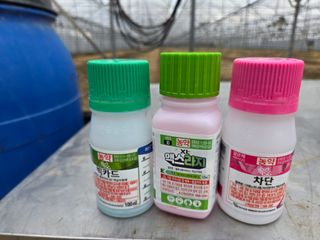 고추15651님의 포도 · 영농일지 작성글 사진