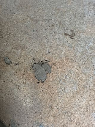 송창언님의 귤 · 영농일지 작성글 사진