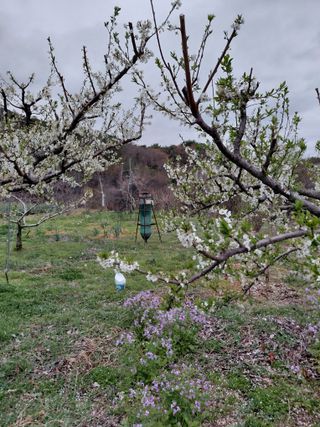 심무재 님의 기타작물 · 영농일지 작성글 사진