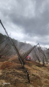 김준한님의 작성글 사진