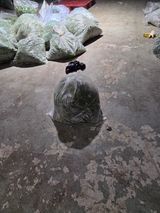 팜모닝 기타작물·영농일지 게시글 이미지